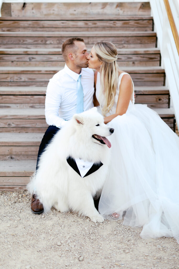 Newlyweds kissing while sitting at the barn with Samoyed dog.  By Toly Dzyuba Photography.