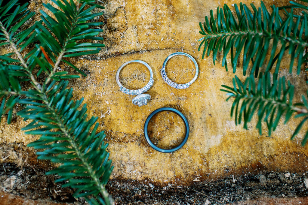 Wedding rings laying on the top of the pine stump with few pine branches laying by for decoration.